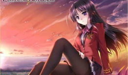 动漫后宫之旅,穿越动漫世界的浪漫冒险