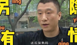 近期吃瓜事件爆料新闻视频,视频爆料背后的真相与争议