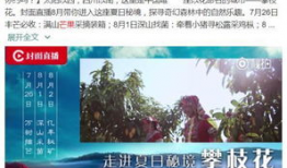 攀枝花91台直播,带你领略这座城市的魅力瞬间