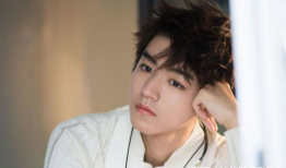 娱乐圈吃瓜小说双男主文,瓜田里的甜蜜邂逅