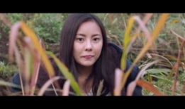 伦理片免费视频,免费伦理片视频背后的故事